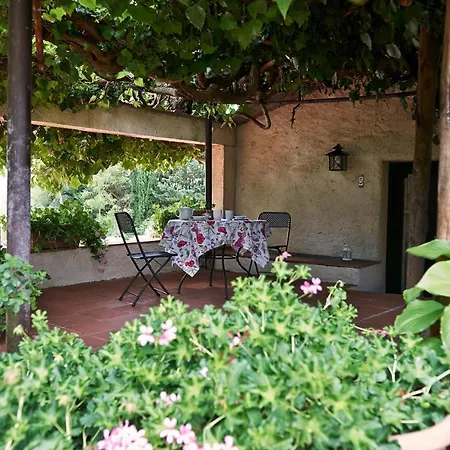 Colle Val D'Elsa - Agriturismo Bardeggiano Room photo